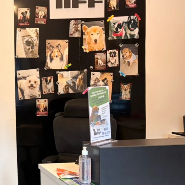 Mural com fotos de pets clientes da Tiff